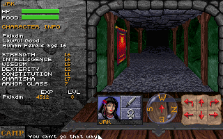 Dungeon Hack (PC)