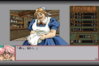 Rance IV: Legacy of The Sect (PC)