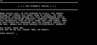 Wizard's Castle (The) (PC)